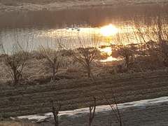 오늘도 살아간다 - b