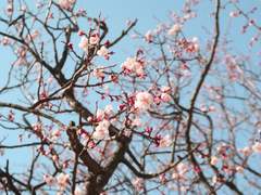 [조각]이상한 애13