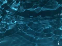 [ 루시엘 L. 베로니카 / 3학년 / 데메테르]