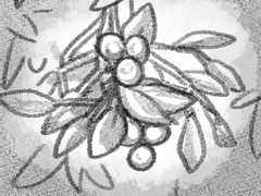 [애프터라이프] 에단매니-미슬토장식 밑에서