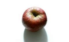 [류크월]老沙果