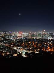 미친 여성의 슬픈 메아리