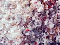 당신은 지상에서 머나먼 별