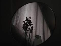 로베르토 마르코 파팔레오