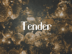 Tender