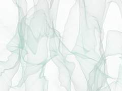 야생 짐승이 원하는 건