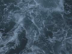 [五夏/理] 해파리의 죽음