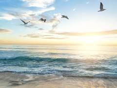 앨리 B.덴버/22/XX /파도