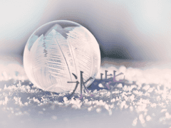 익명님 - Happy Holidays