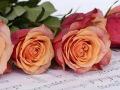 When I text you, it means I miss you.