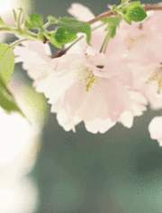 브리타니아: 원탁의 반제