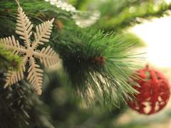 [루시산] 비밀선물