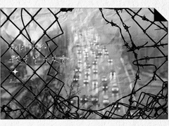 우리의 사랑이 무엇을 할 수 있을까