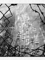 사랑, 비슷한 걸 해요