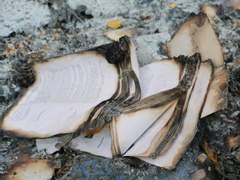 전하지 못한 편지