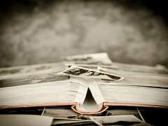 [사쿠아카]너의 의미