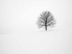 크리스마스의 악몽