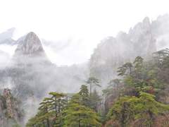 [백도] 괴물의 꽃 #9