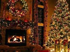 [젠희프룬] 메리 크리스마스