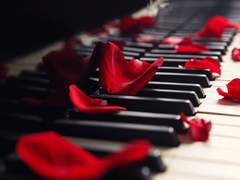 [살파랑/장경고윤] 하얀 밤을 건너서