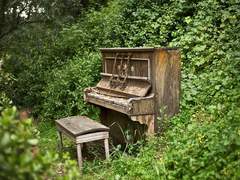 [SV] 피아노가 잠든 숲. 上