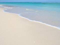 나의 푸름을 너희에게