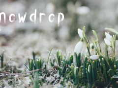 [필멸] 스노드롭 下