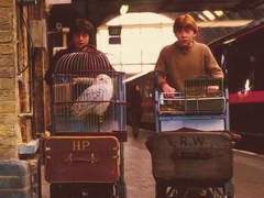 전쟁. 그 후에 일어난, 나의 이야기.