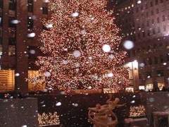 메리 크리스마스