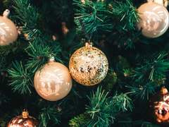 존재의 흔들리는 가지 끝에서 너는 이름도 없이 피었다 진다.