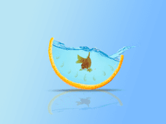 [망기무선] 민물고기 上