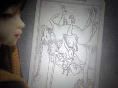 이번 주의 카드: Knight of Pentacles reversed