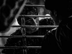 신은 나보다 널 더 좋아했을 텐데.