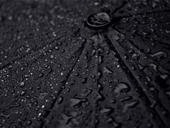 없는 번호입니다