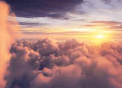 마르코의 포디체험