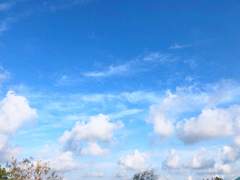 02. 성장기의 우리들