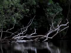 절망은 어디로부터. - 01