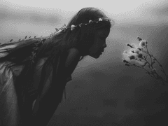 요정의 시체에서 무엇을 보았나!