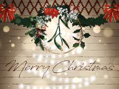 [별짜기] Christmas movie night＊