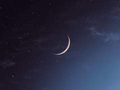 너의 A로 산다는 일.