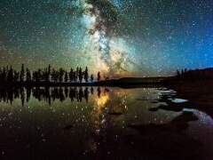 너의길이 잖아?