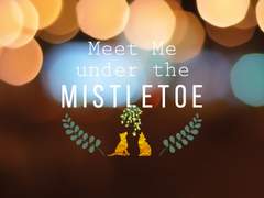 Meet Me under the Mistletoe