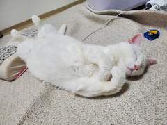 시린이가 되다니!