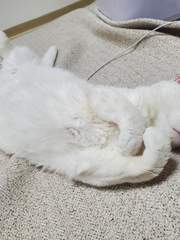 시린이의 일상이야기