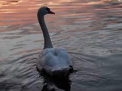 😉옆집레즈의 시아는 비밀이다.