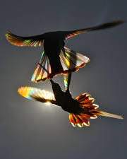 그래도, 우리의 나날들