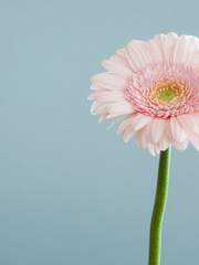 작품 출간 공지 및 잡다한 이야기