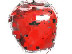 유대감,정원,사과,이브