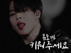 [방탄 이성] 봄토끼, 키워주세요 :: 03