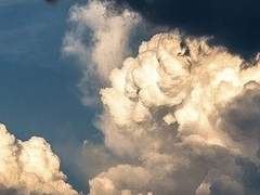 사상 최악의 생존자